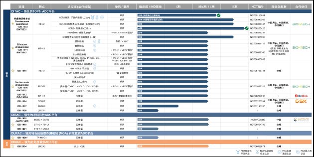 映恩生物更新IPO问询回复：客户依赖、技术来源、专利诉讼成焦点 商业化潜力面临多重考验